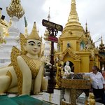 Shwedagon Pagoda - one of the 8 spirit animals | Photo taken by Su-Lin T