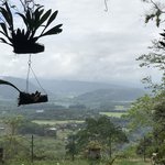 Photo taken by Khaled S