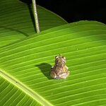 Photo taken by Kozue N