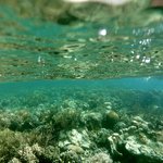 Photo taken by Izabella L