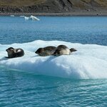 Photo taken by Amy W