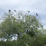 Photo taken by Juliette S