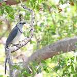 Photo taken by Graeme W