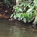 Photo taken by Ayca A