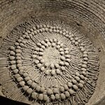 Photo taken by Mariah M