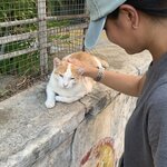 Photo taken by steve s