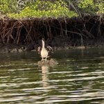 Photo taken by Gary W