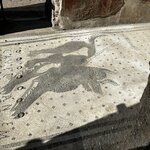 Photo taken by Marianne B