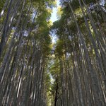 Photo taken by Charlotte B