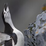 Photo taken by SANDRA V