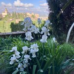 Photo taken by Gary G