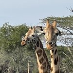 Photo taken by Michael L