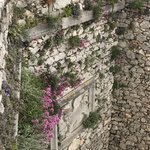 Photo taken by Shawn G