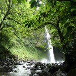 Photo taken by Brett F