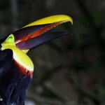 Photo taken by Jaya C