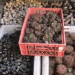 Photo taken by Dave E