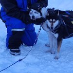 Photo taken by Paula S