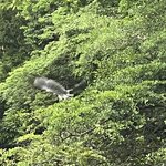 Photo taken by Deborah S