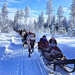 Photo taken by Caitlin P