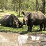 Photo taken by SHERI S