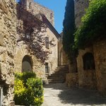 Pals | Photo taken by Carol P