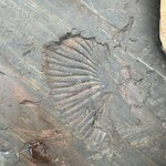 Photo taken by carlos d