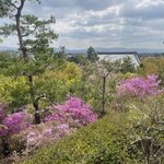 Photo taken by Caz J