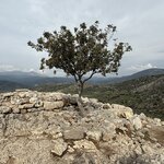 Photo taken by Hope S