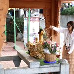 Photo taken by John K