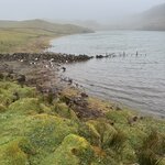 Photo taken by Catherine H