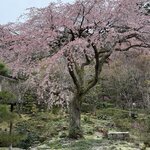 Photo taken by John P