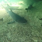 Photo taken by Elise C