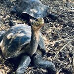 Photo taken by Katarzyna W