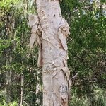 Photo taken by Daniel S