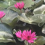 Photo taken by Cynthia C