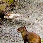 Photo taken by Mary D