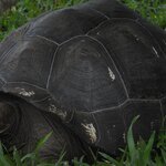 Photo taken by Vinay K