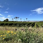 Photo taken by Lisa S