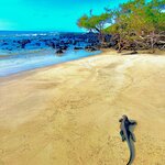 Photo taken by Katherine A