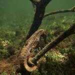 Photo taken by Sharon J