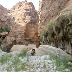 Photo taken by fern k