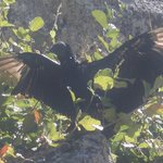 Photo taken by Graeme W