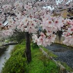 Photo taken by Hector R