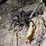 Photo taken by Shanthi V