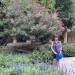 Photo taken by John P