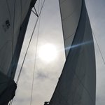 Photo taken by Brook D