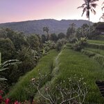 Photo taken by Mariah C