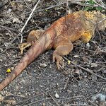 Photo taken by Mark A