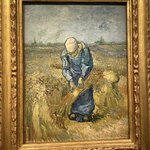 Photo taken by Shannon F