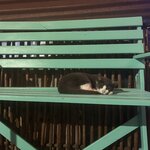 Photo taken by Imogen E